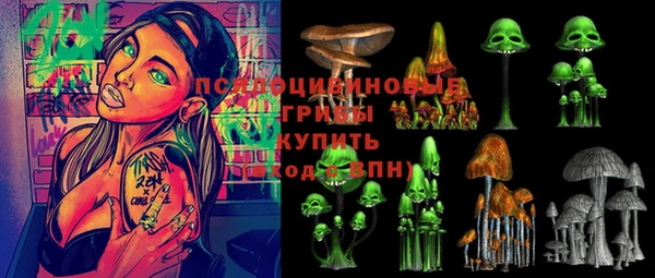 винт Верхний Тагил