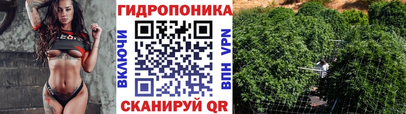 даркнет клад  Касли  Бошки Шишки конопля 